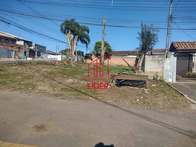 Terreno para Venda em Curitiba - 5