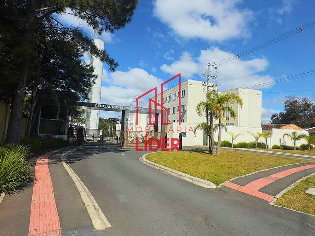 #479 - Apartamento para Locação em São José dos Pinhais - PR - 1