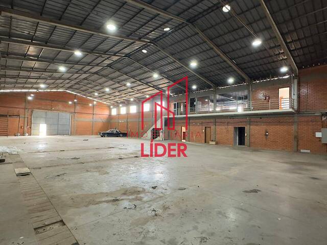 Barracão para Locação em São José dos Pinhais - 4