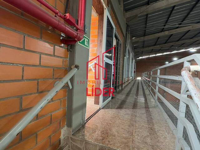 Barracão para Locação em São José dos Pinhais - 5