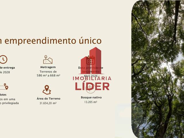 Terreno para Venda em Curitiba - 3
